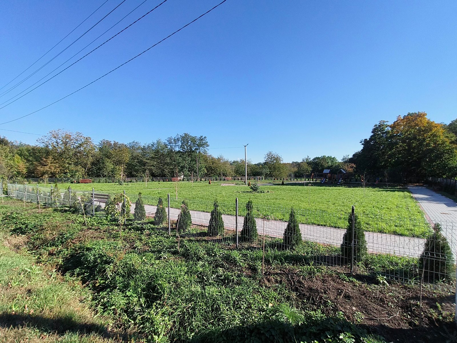 Primăria Arionești